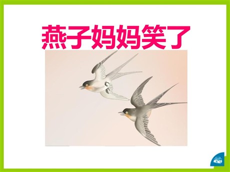 《燕子妈妈笑了》PPT课件5
