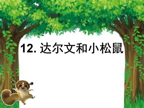 《达尔文和小松鼠》PPT课件5
