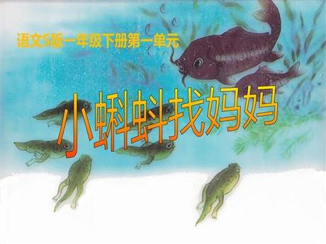 《小蝌蚪找妈妈》PPT课件7