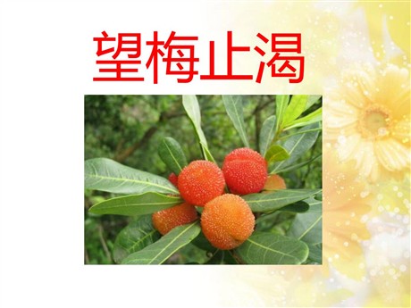 《望梅止渴》PPT课件