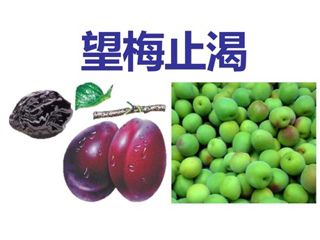 《望梅止渴》PPT课件2