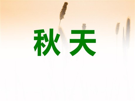 《秋天》PPT课件9