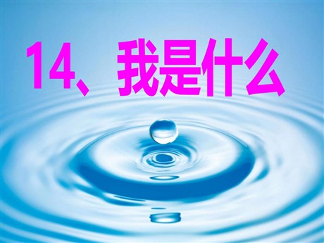 《我是什么》PPT课件8