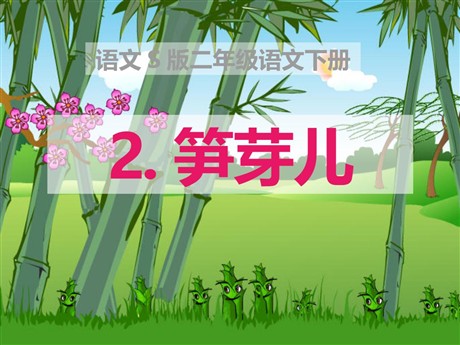 《笋芽儿》PPT课件9