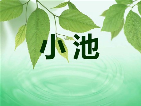 《小池》PPT课件5