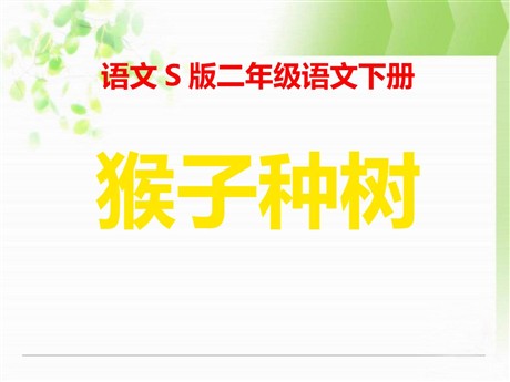 《猴子种树》PPT课件