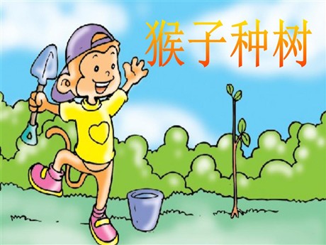 《猴子种树》PPT课件3