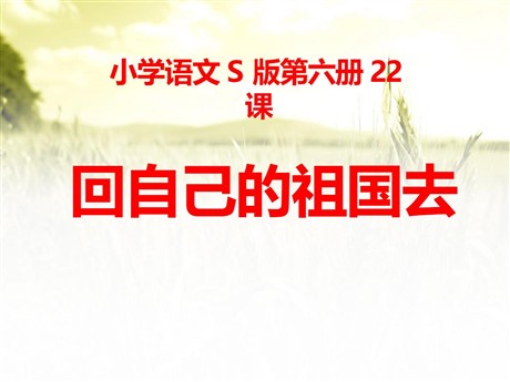 《回自己的祖国去》PPT课件5