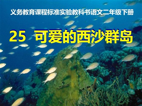 《可爱的西沙群岛》PPT课件