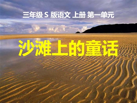 《沙滩上的童话》PPT课件7