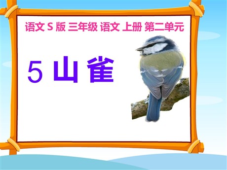 《山雀》PPT课件