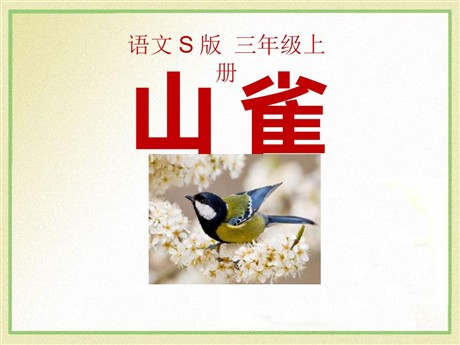 《山雀》PPT课件3