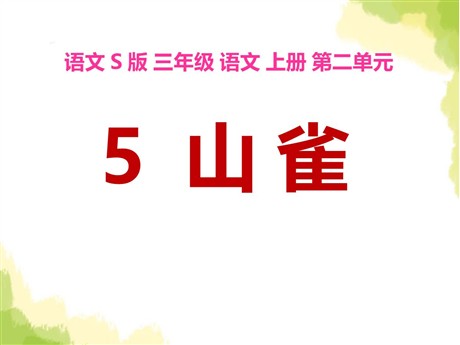 《山雀》PPT课件4