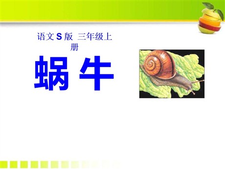 《蜗牛》PPT课件2