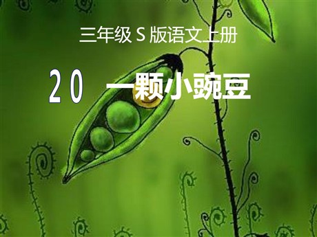 《一颗小豌豆》PPT课件7