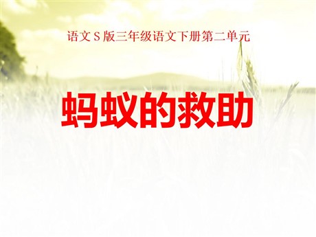 《蚂蚁的救助》PPT课件