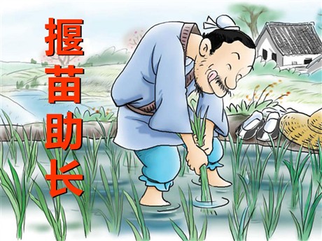 《揠苗助长》PPT课件13