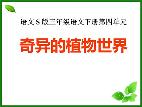 《奇异的植物世界》PPT课件2