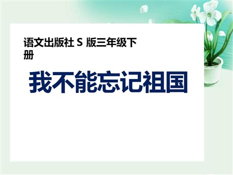 《我不能忘记祖国》PPT课件2