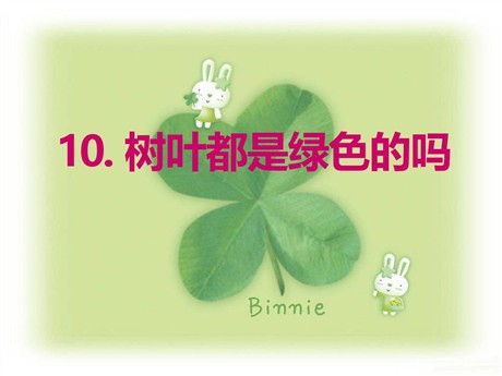 《树叶都是绿色的吗》PPT课件7