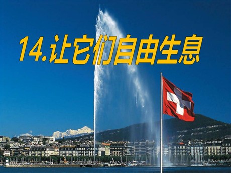 《让它们自由生息》PPT课件