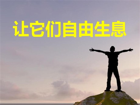 《让它们自由生息》PPT课件2