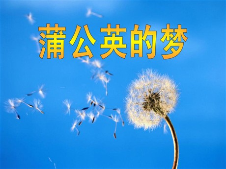 《蒲公英的梦》PPT课件