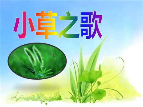 《小草之歌》PPT课件4