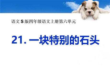 《一块特别的石头》PPT课件2