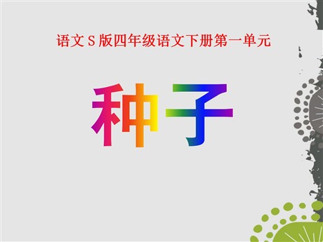 《种子》PPT课件2