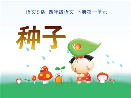 《种子》PPT课件3