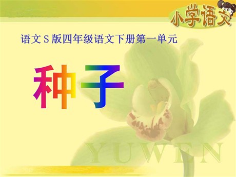 《种子》PPT课件4