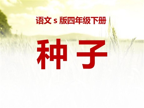 《种子》PPT课件5