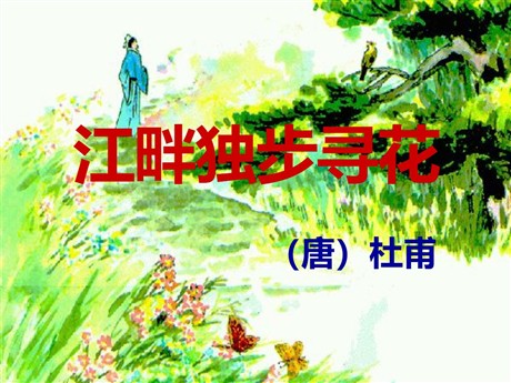 《江畔独步寻花》PPT课件7