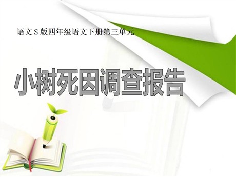 《小树死因调查报告》PPT课件3