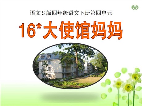 《大使馆妈妈》PPT课件3
