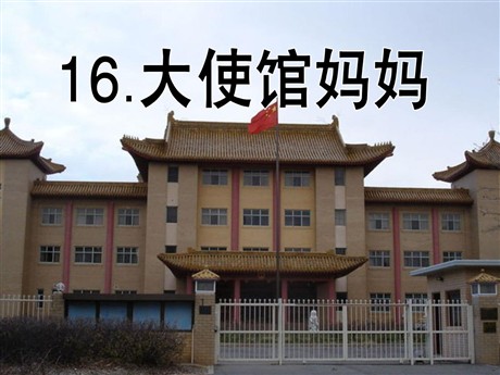 《大使馆妈妈》PPT课件4