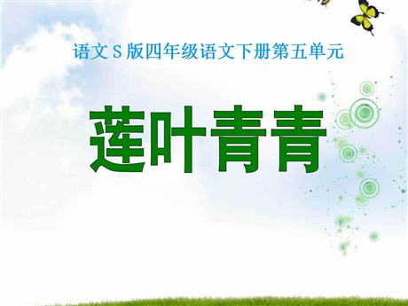 《莲叶青青》PPT课件3