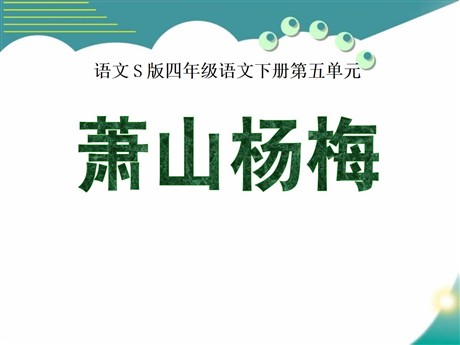 《萧山杨梅》PPT课件2