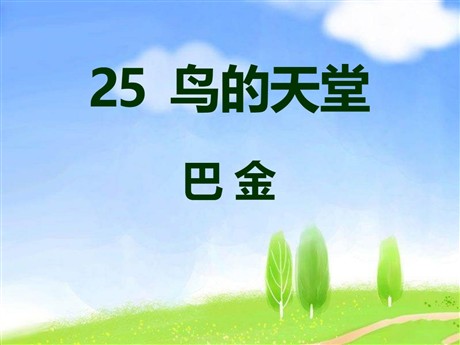 《鸟的天堂》PPT课件8