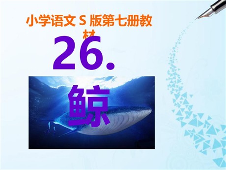 《鲸》PPT课件8