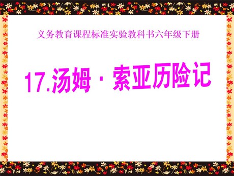 《汤姆·索亚历险记》PPT课件7