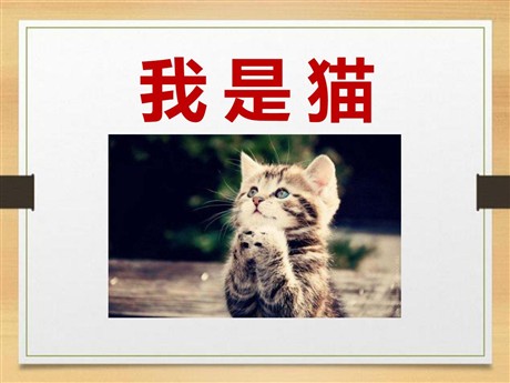 《我是猫》PPT课件2