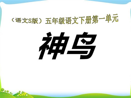 《神鸟》PPT课件2