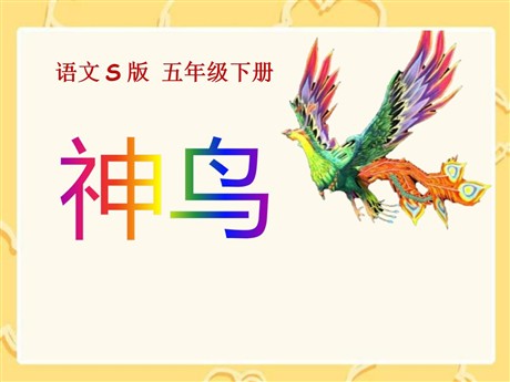 《神鸟》PPT课件4