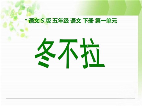 《冬不拉》PPT课件2