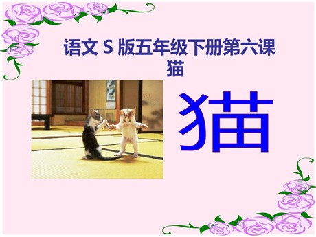 《猫》PPT课件7