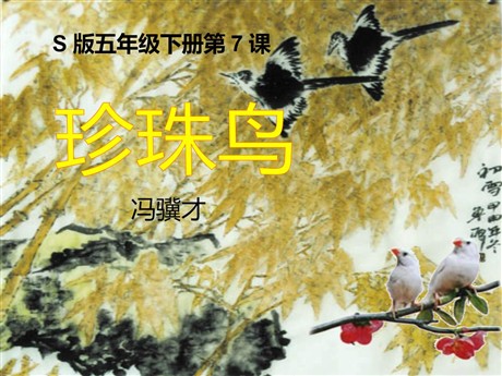 《珍珠鸟》PPT课件18