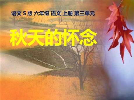 《秋天的怀念》PPT课件7