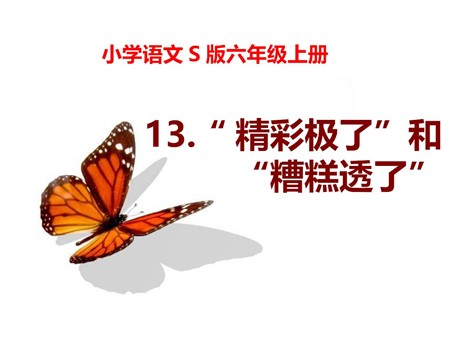 《“精彩极了”和“糟糕透了”》PPT课件6